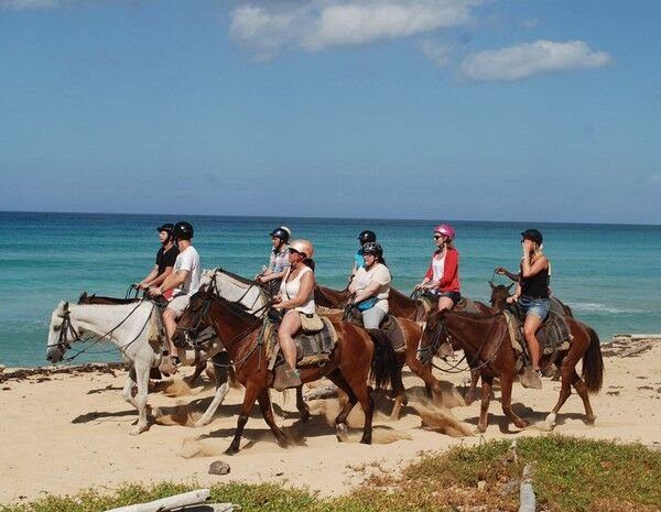 Paseo a caballo