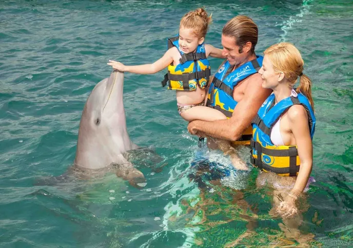 Nado con delfines