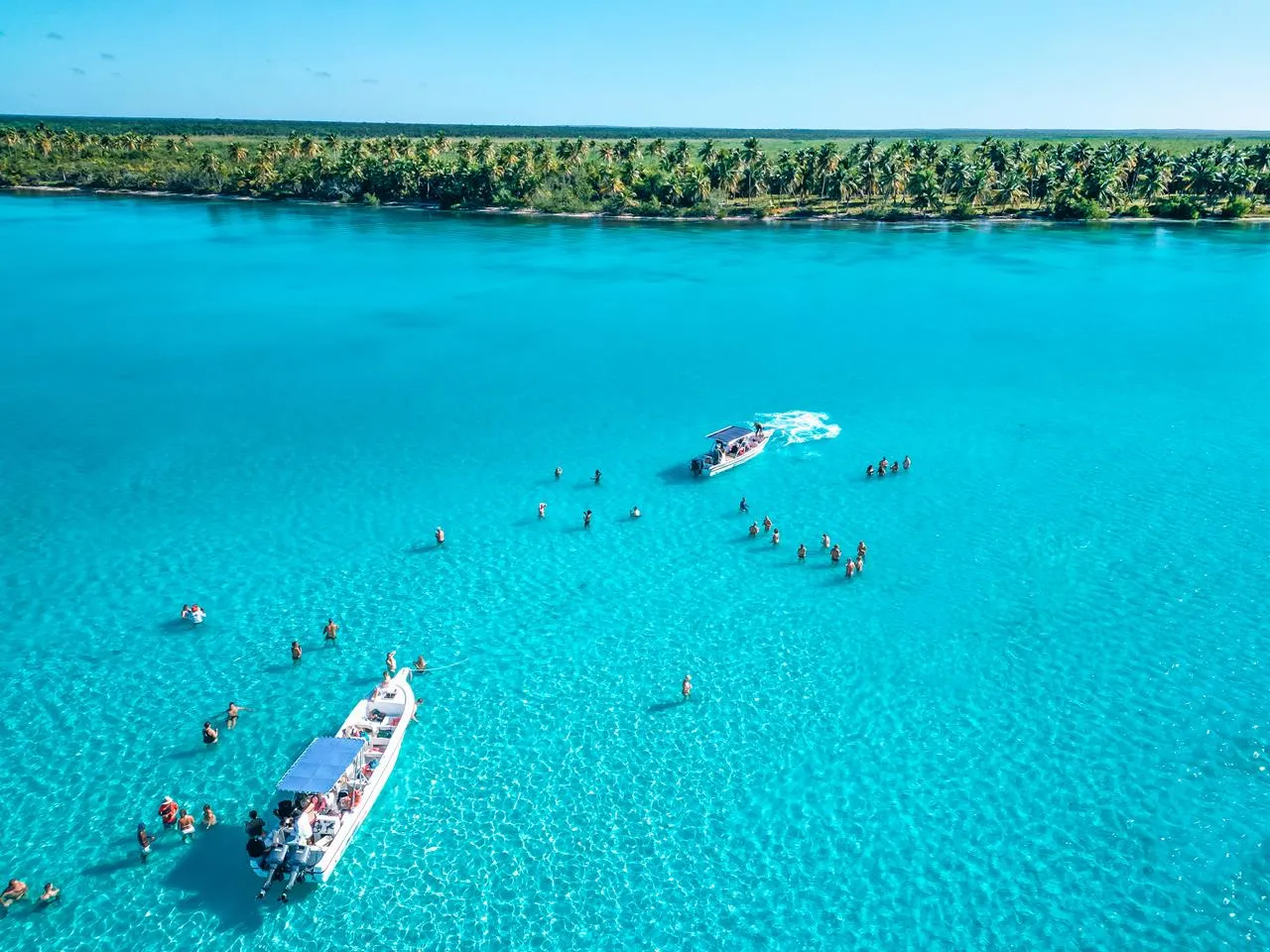 ¡Vive la mejor experiencia en esta excursión a Isla Saona!